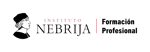 Instituto Nebrija de Formación Profesional