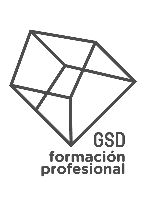 Formación Profesional