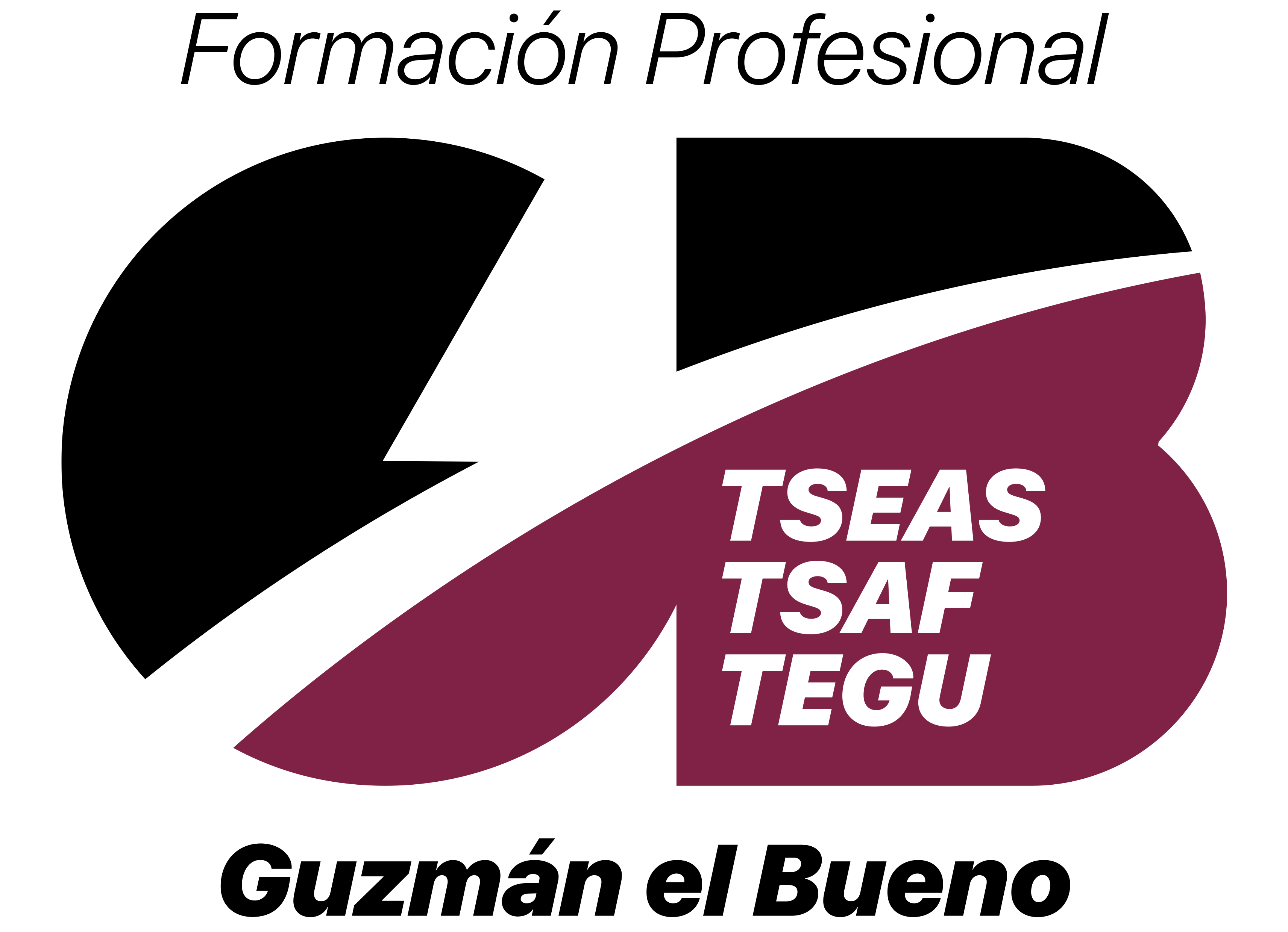 TSEAS y TSAF Presencial en Madrid y a Distancia