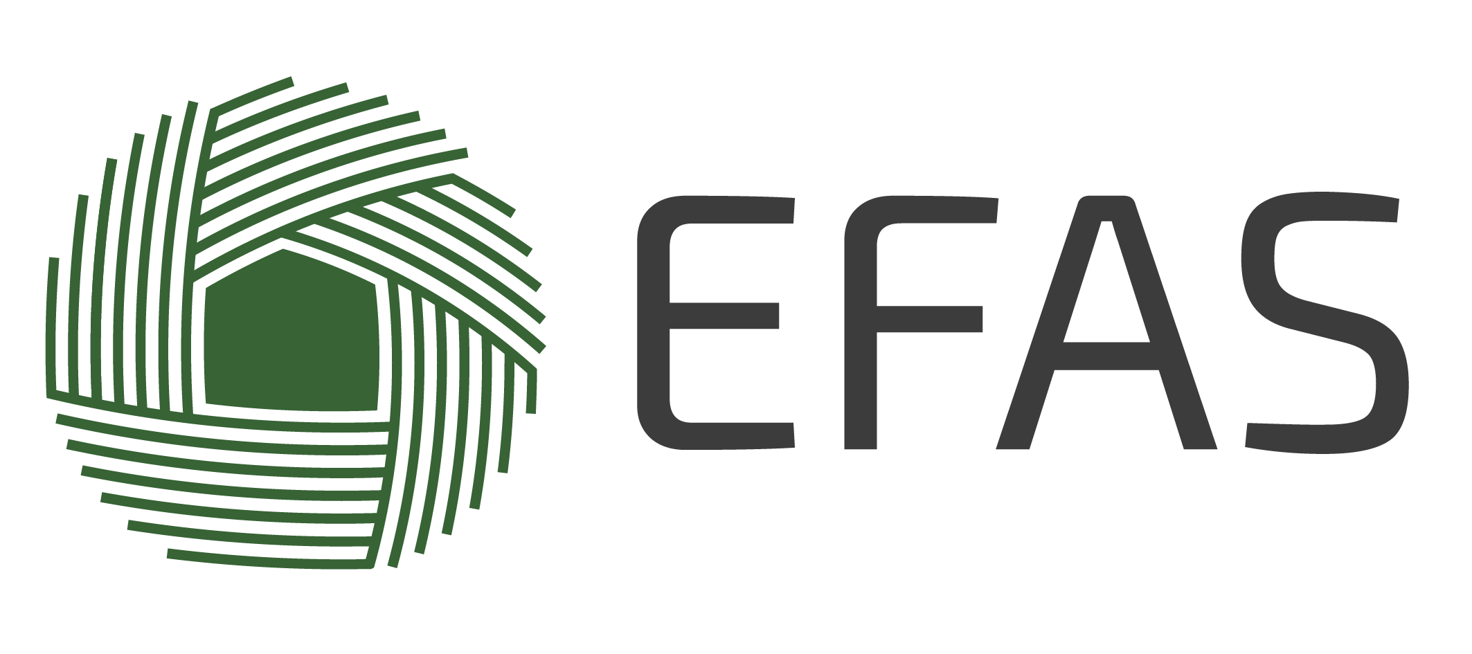 EFAS Castilla La Mancha - Madrid